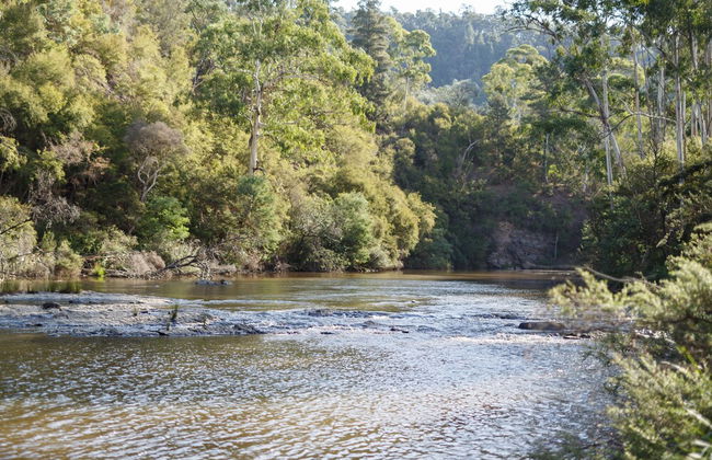 Yering Gorge Cottages - Foto 65