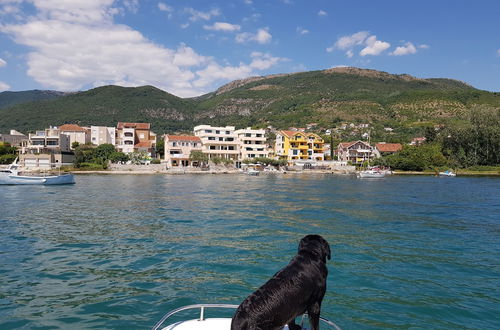 Foto 40 - Apartments Tivat Obala