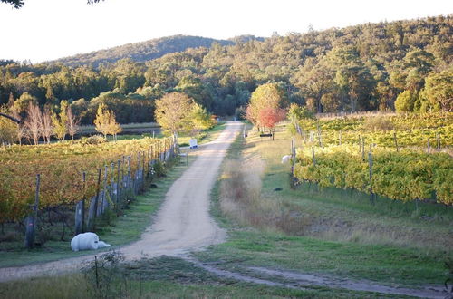 Photo 9 - Twisted Gum Cottage