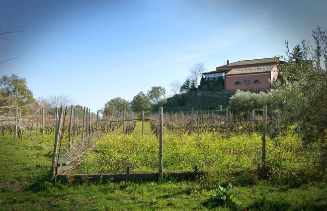 Agriturismo Kikajon - Foto 30
