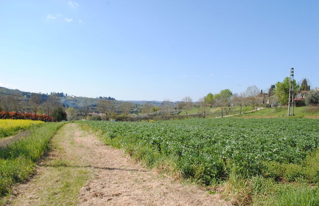Fattoria di Malavolta - Photo 42