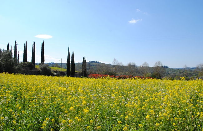Fattoria di Malavolta - Photo 41