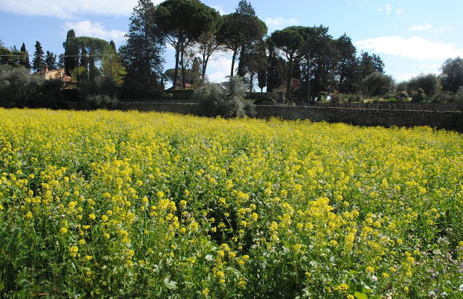 Fattoria di Malavolta - Photo 43