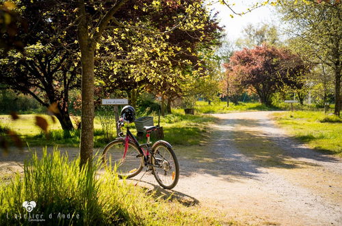 Photo 58 - Le Domaine de La Barre