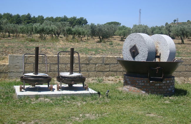 Agriturismo Fieri - Foto 54