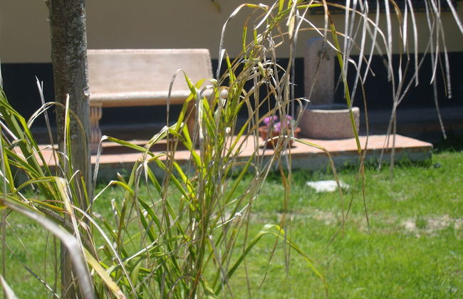 Agriturismo Fieri - Foto 49