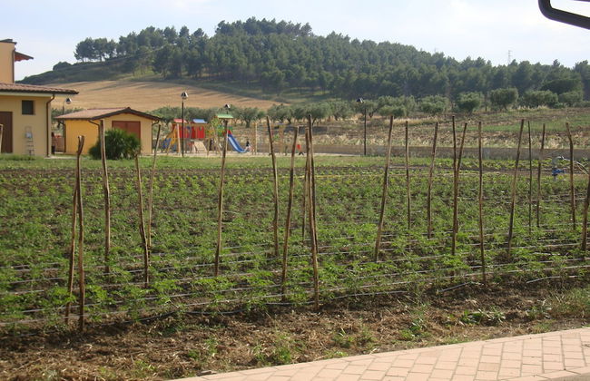 Agriturismo Fieri - Foto 41