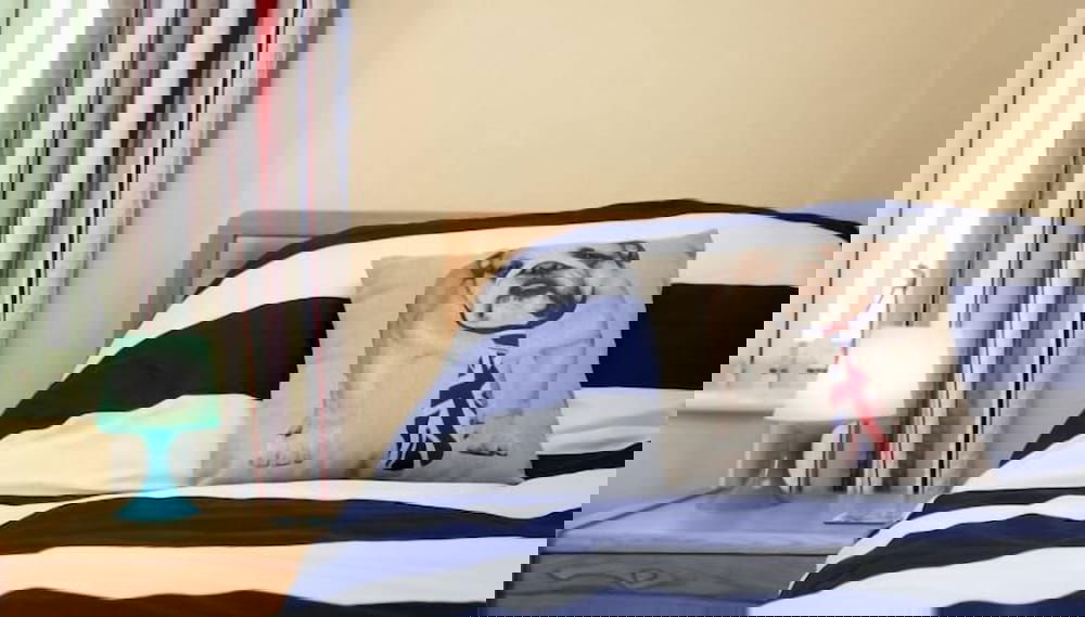 Imagem principal