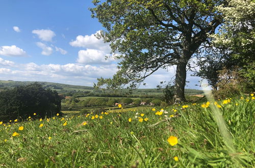 Photo 40 - Queen Bower Farm Lodge