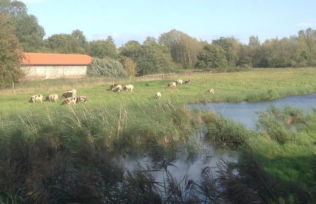 Lackford Lakes Barns - Foto 52