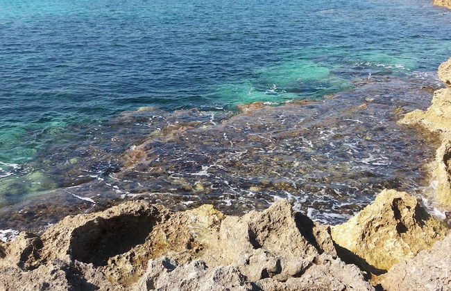 Villa A Due Passi Dal Mare Salento - Foto 15