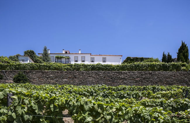 Casa de Casal de Loivos - Foto 51
