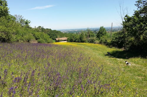 Foto 70 - Agriturismo Montevecchio Isolani