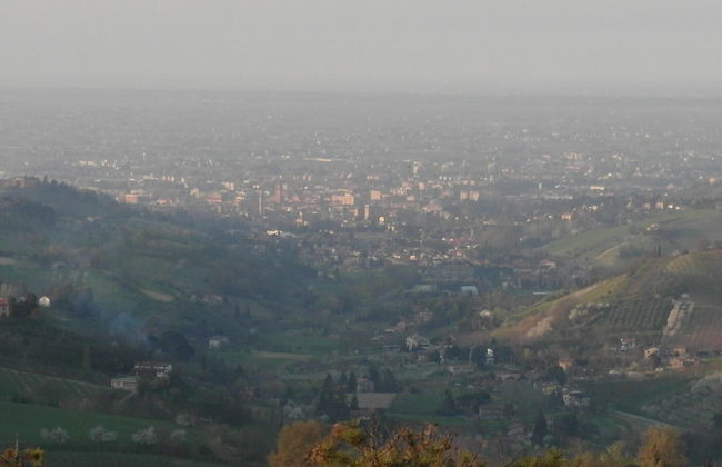 Villa With a View of the Coast, on the top of a Hill in the Middle of a Forest - Foto 31