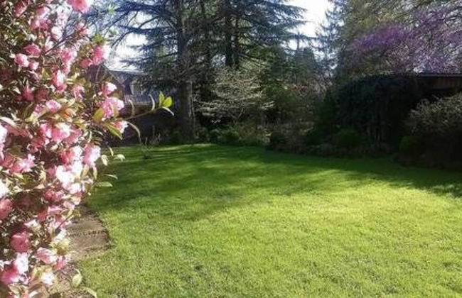 Garden Oasis Near Downtown - Foto 28