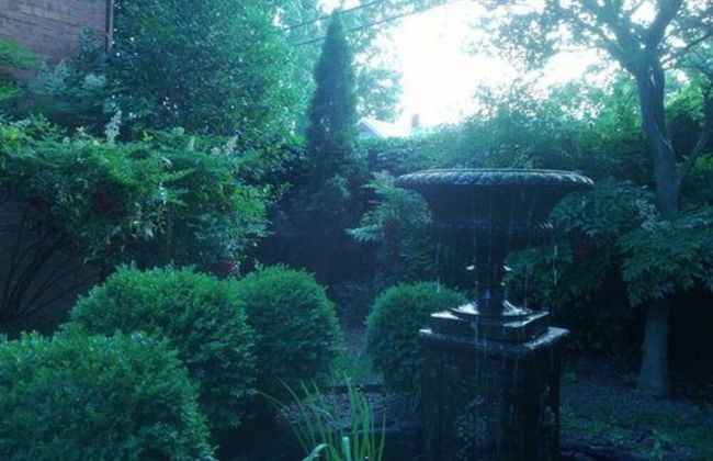 Garden Oasis Near Downtown - Foto 29