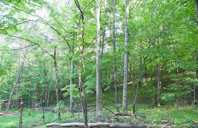 Creekview Cabin - A Perfect Escape - Foto 58