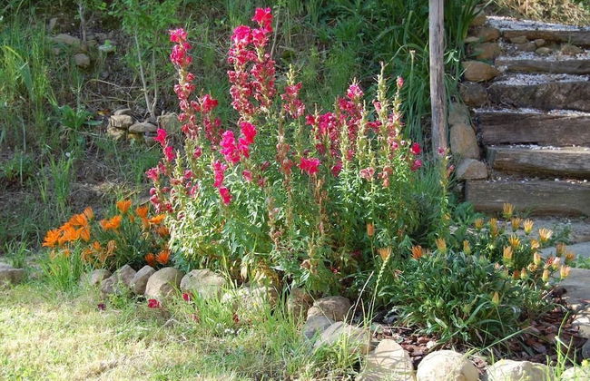 Agriturismo SPA Serpanera - Photo 40