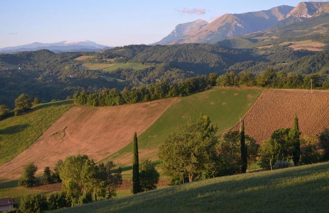 Agriturismo SPA Serpanera - Photo 56