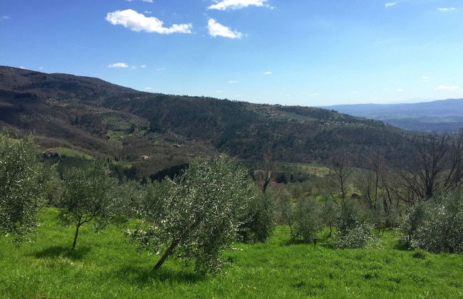 Hillside Retreat With a View - Foto 41