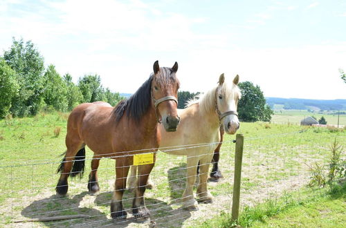 Photo 17 - Quaint Farmhouse in Houffalize With Terrace