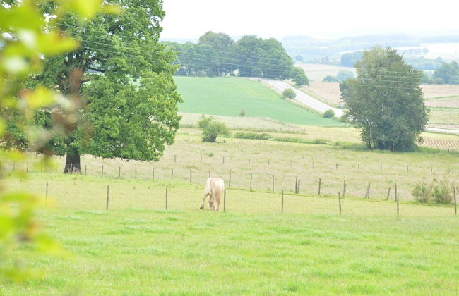 Cozy Farmhouse Near Houffalize - Foto 25