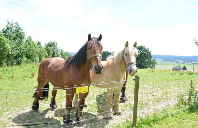 Cozy Farmhouse Near Houffalize - Foto 19