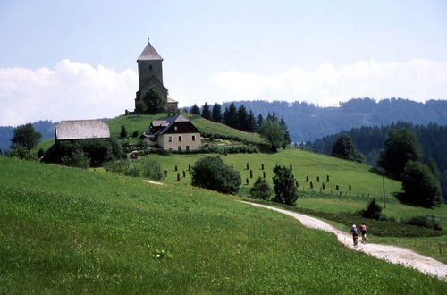 Photo 36 - Holiday Home in Sankt Andrae Near Lake Klopeiner