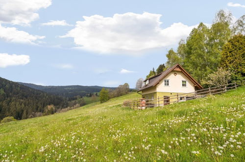 Photo 1 - Holiday Home in Sankt Andra Near ski Area