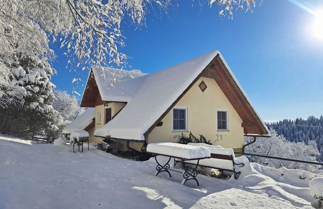 Chalet in Sankt Andra Near Koralpe Ski Area - Foto 26