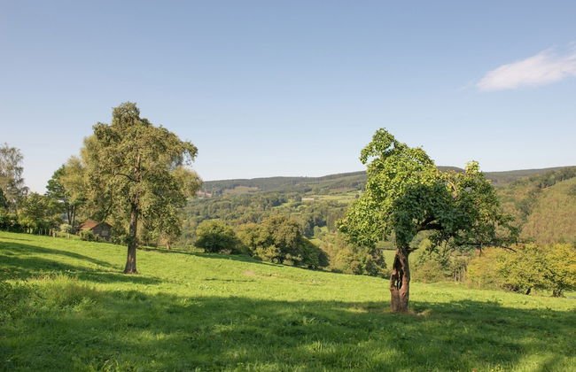 Holiday Home in Stoumont near Town of Spa - Foto 42