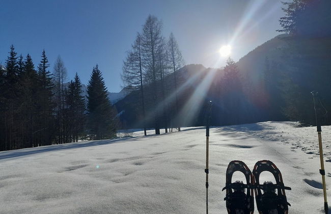 Secluded Apartment in Ferlach near Bodental Ski Lift - Foto 17