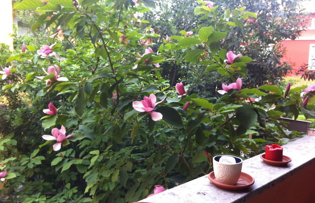 Cozy House - Foto 54