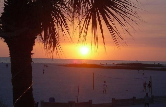 Beach Palms - Foto 2