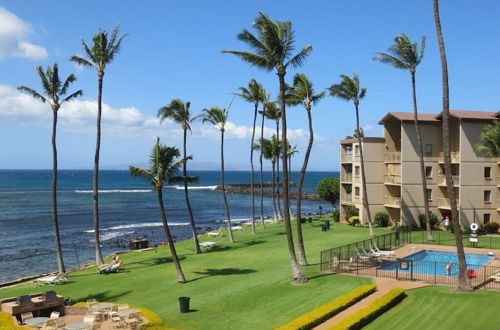 Photo 1 - Maalaea Kai 316 1 Bedroom Condo by RedAwning