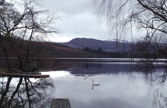 Juniper Hill, Loch Achilty - Foto 19