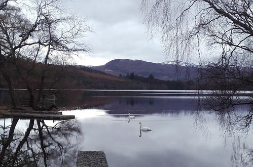 Photo 19 - Juniper Hill, Loch Achilty