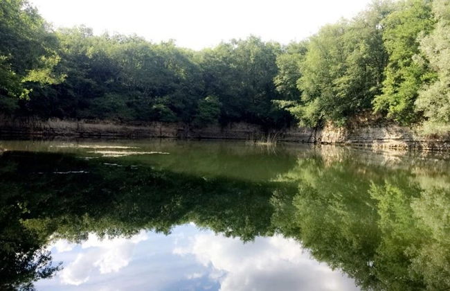 Domaine du Coudreau - Foto 16