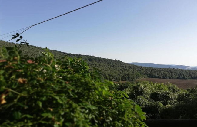 Cozy Stay With Scenic Views - Foto 34