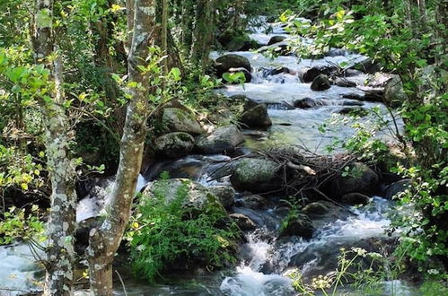 Foto 50 - Aguas del Venero