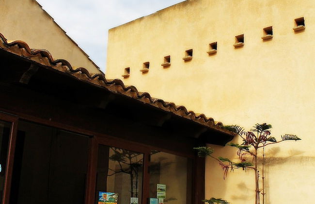 Agriturismo Tenuta Fratelli Sanacore - Foto 49