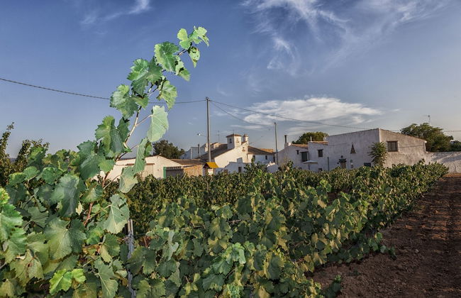 Casa Rural El Llano Quintanilla - Foto 42