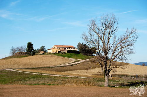 Photo 59 - Poggio alla Pietra 26