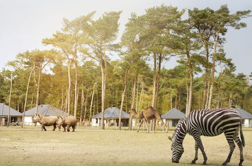 Photo 53 - Safari Resort Beekse Bergen