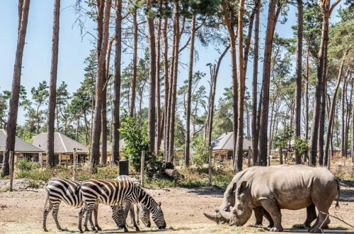 Photo 42 - Safari Resort Beekse Bergen