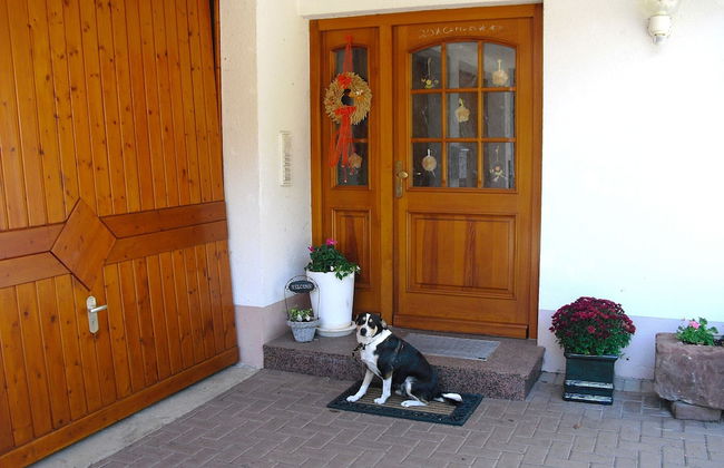 Comfy Apartment in Salmensbach near River - Foto 2