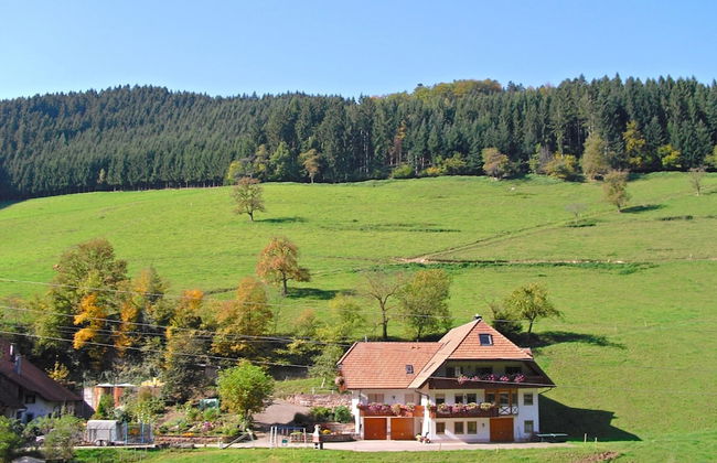 Comfy Apartment in Salmensbach near River - Foto 7