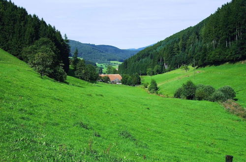 Photo 20 - Comfy Apartment in Salmensbach near River