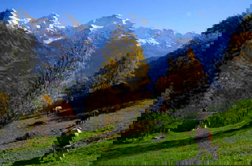Photo 36 - Pristine Home in a Charming Village, Large Grassy Sunbathing Area, View of the Mönch and Jungfrau