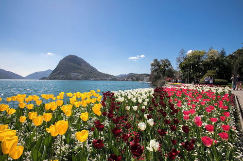 Foto 31 - Laguna di Lugano